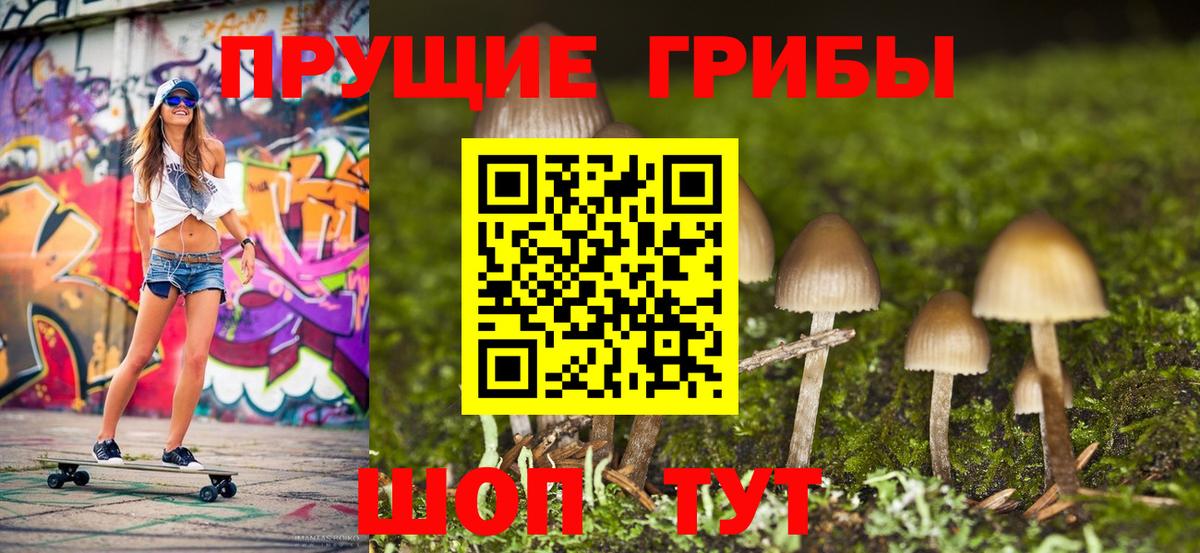 Галлюциногенные грибы ЛСД  Псилоцибиновые грибы мицелий  Вход с VPN  Снежинск 